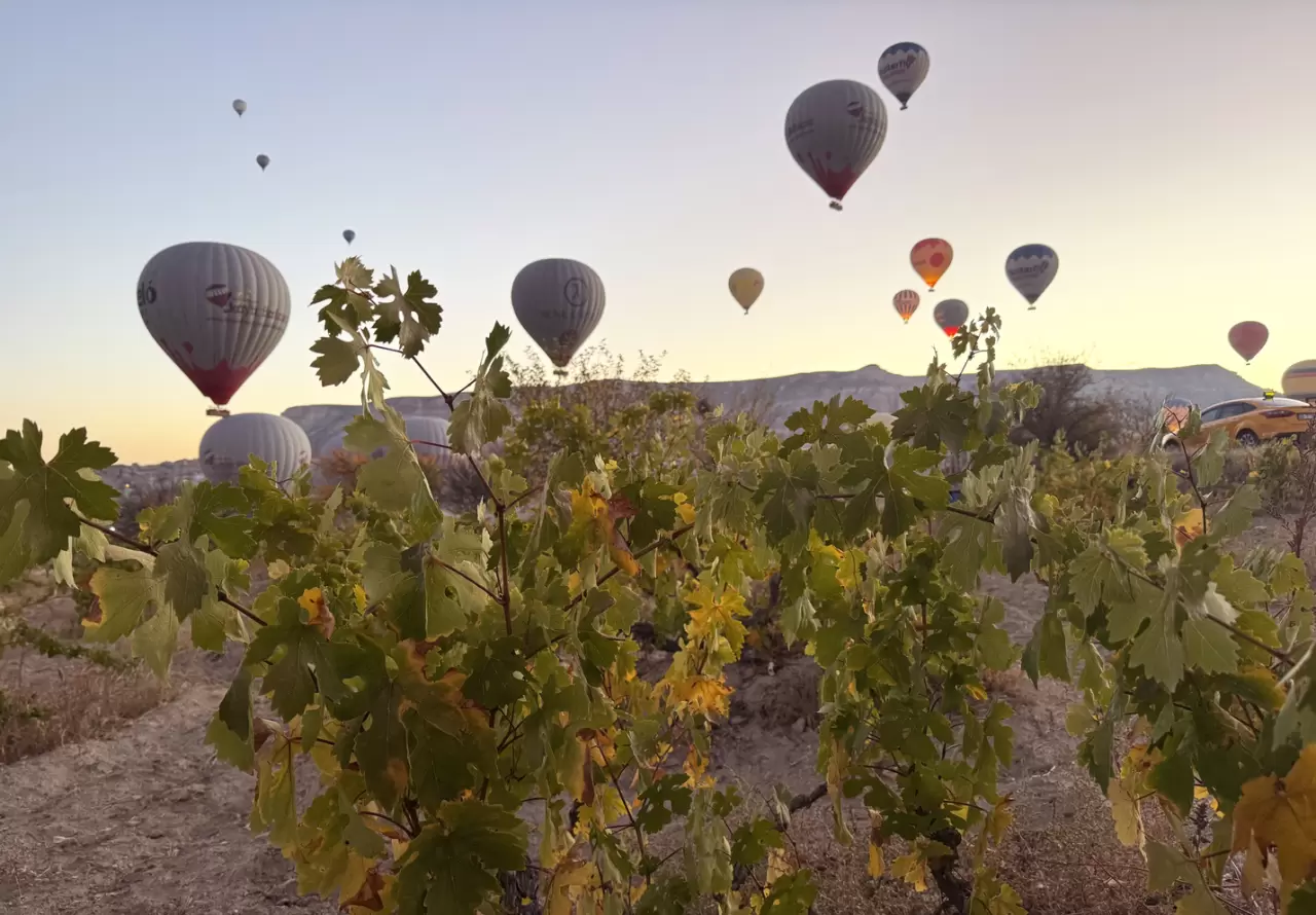 Sonbahar manzaraları Kapadokya'ya renk kattı 5