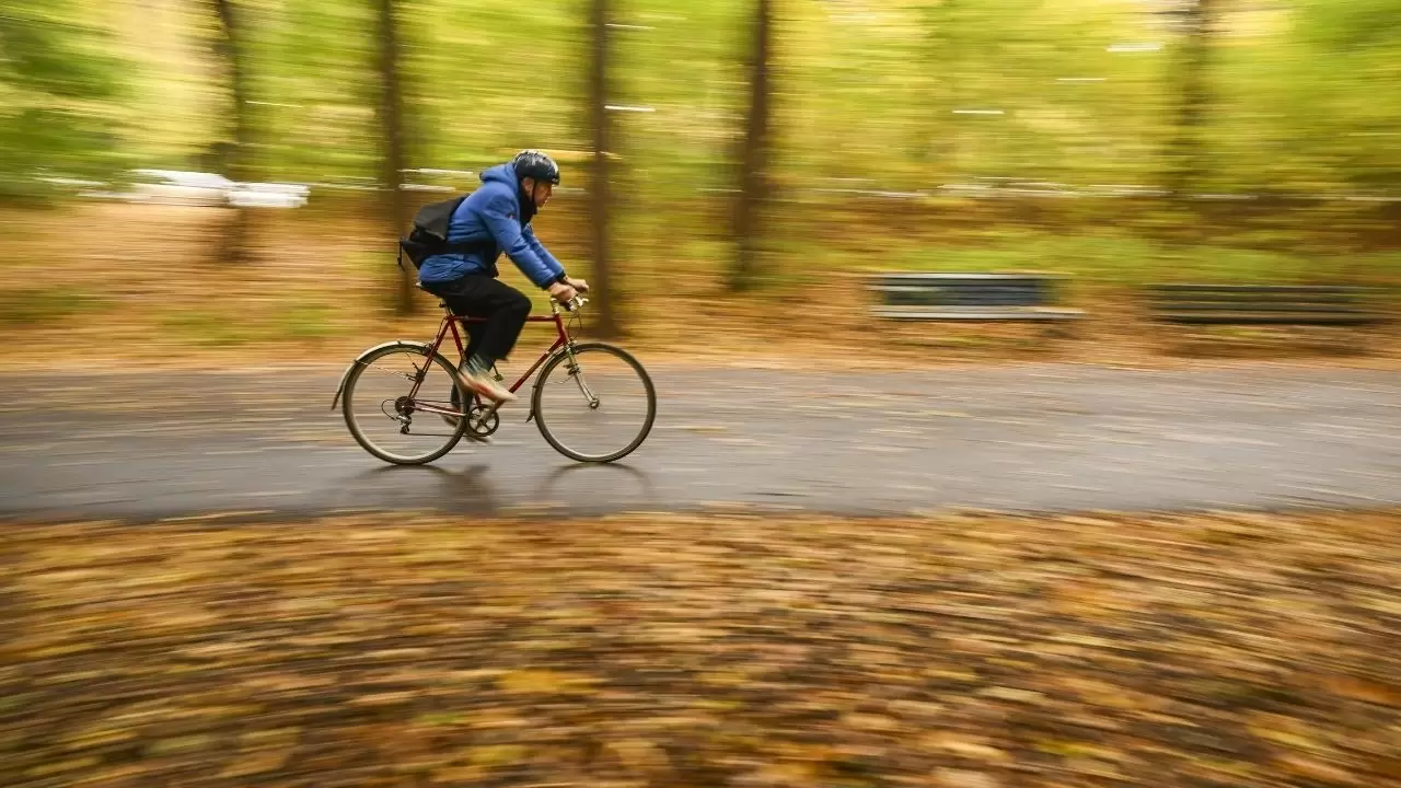 Berlin Tiergarten’da sonbahar masalı 1