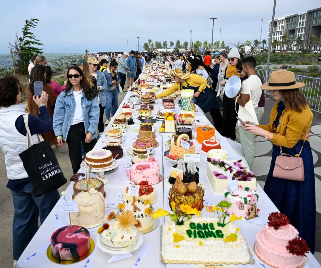 'Kek Pikniği'nde 2 binden fazla pasta ve kek sergilendi 2