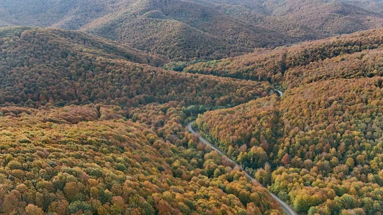 Kırklareli’nin Longoz ve Istranca ormanlarında sonbahar büyüsü 3