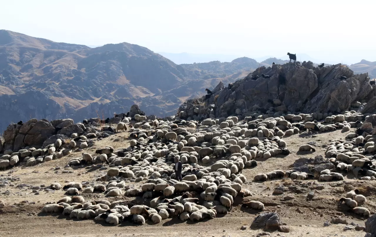 Bitlis'te göçerler havanın soğumasıyla dönüş yolculuğuna başladı 2