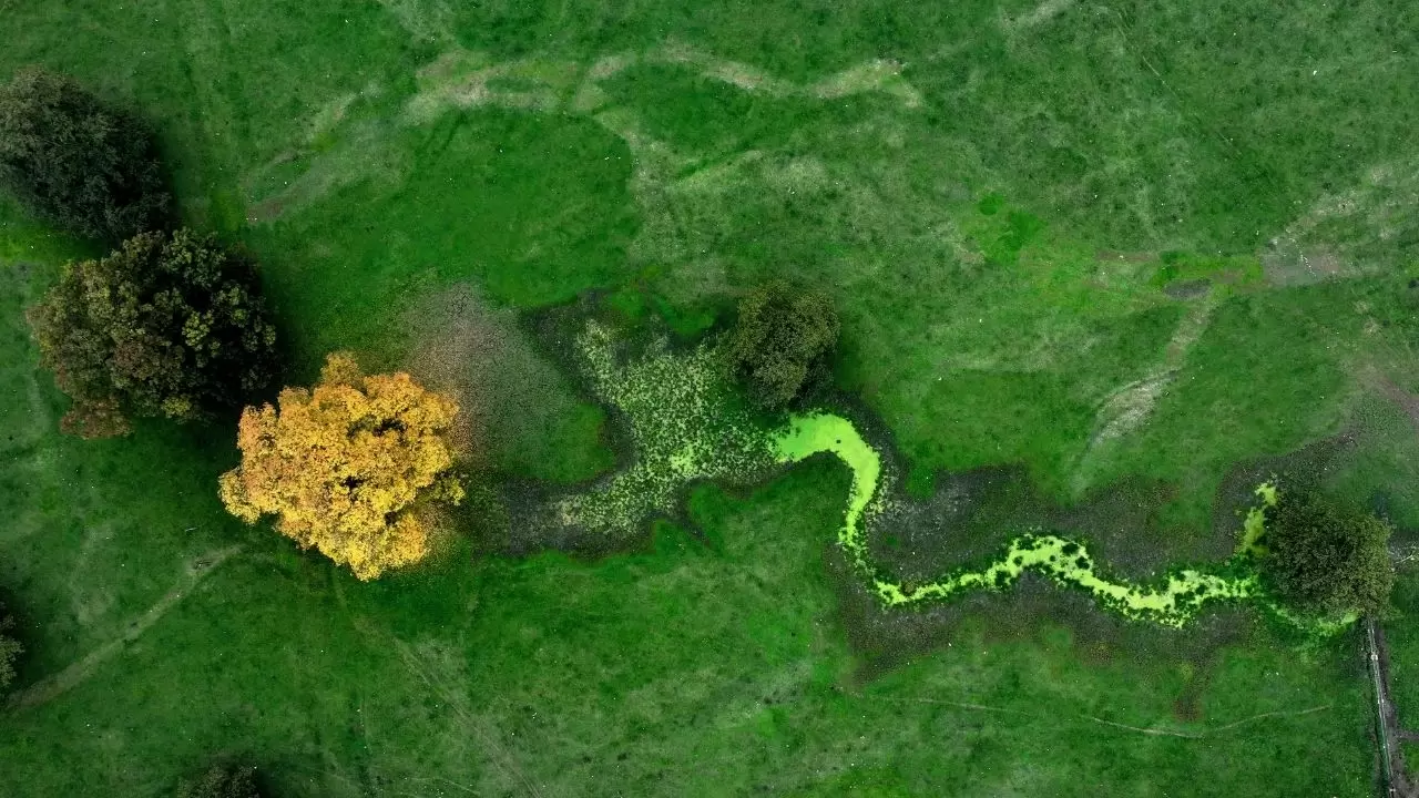 Efteni Gölü’nde sonbahar tüm güzelliğiyle sahnede 9