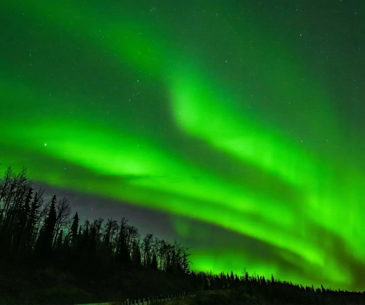 Alaska’da büyüleyici Kuzey Işıkları gecesi 6