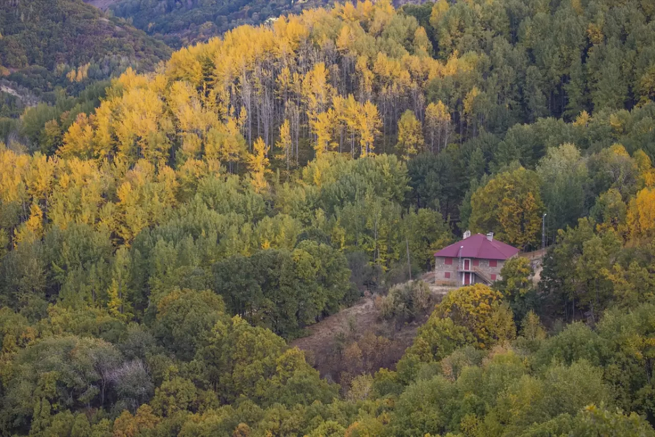 Tunceli’nin zirveleri sonbahar renklerine büründü 3