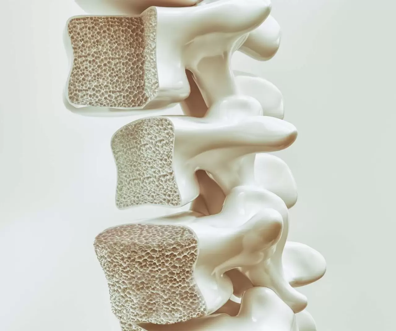 20 Ekim Dünya Osteoporoz Günü’nde kemik sağlığına dikkat çekildi 4