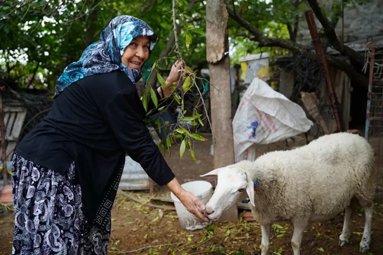 73 yaşında evini galeriye çevirdi: Üzüldüğümde resim yapıyorum 1