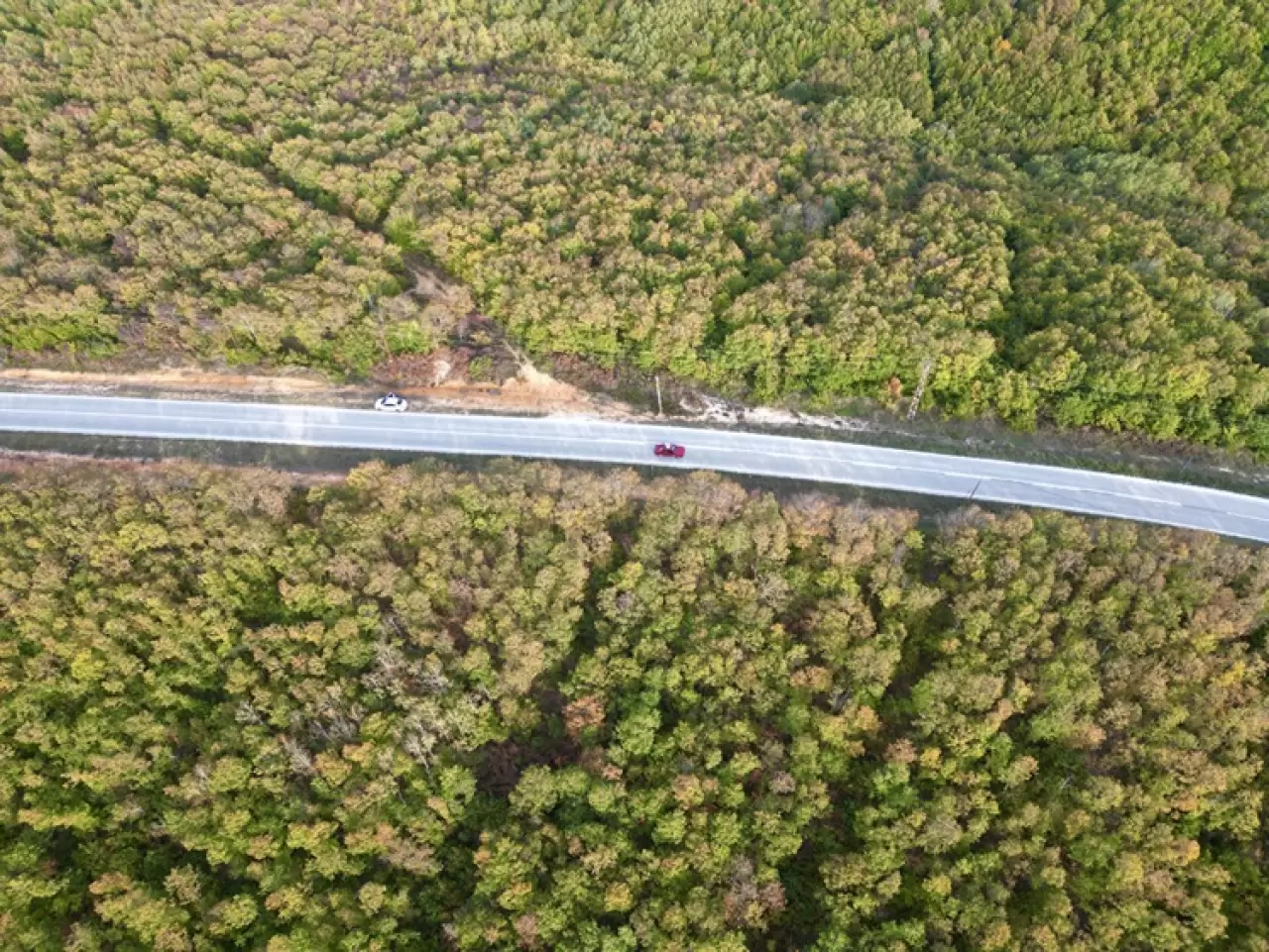 Tekirdağ'da ormanlar güz renklerine büründü 1