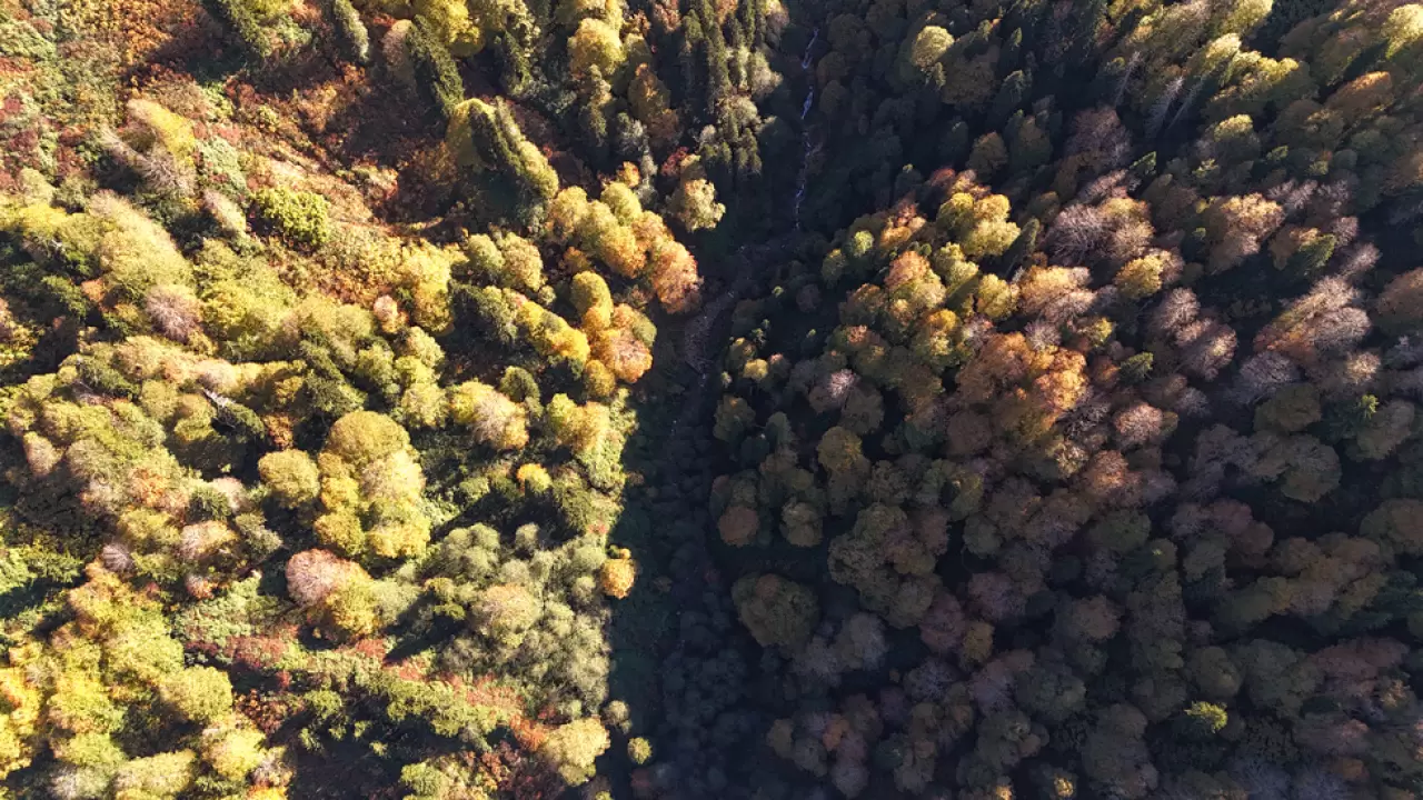 Sonbaharın büyüsü: Borçka Karagöl Tabiat Parkı'nda renk cümbüşü 3