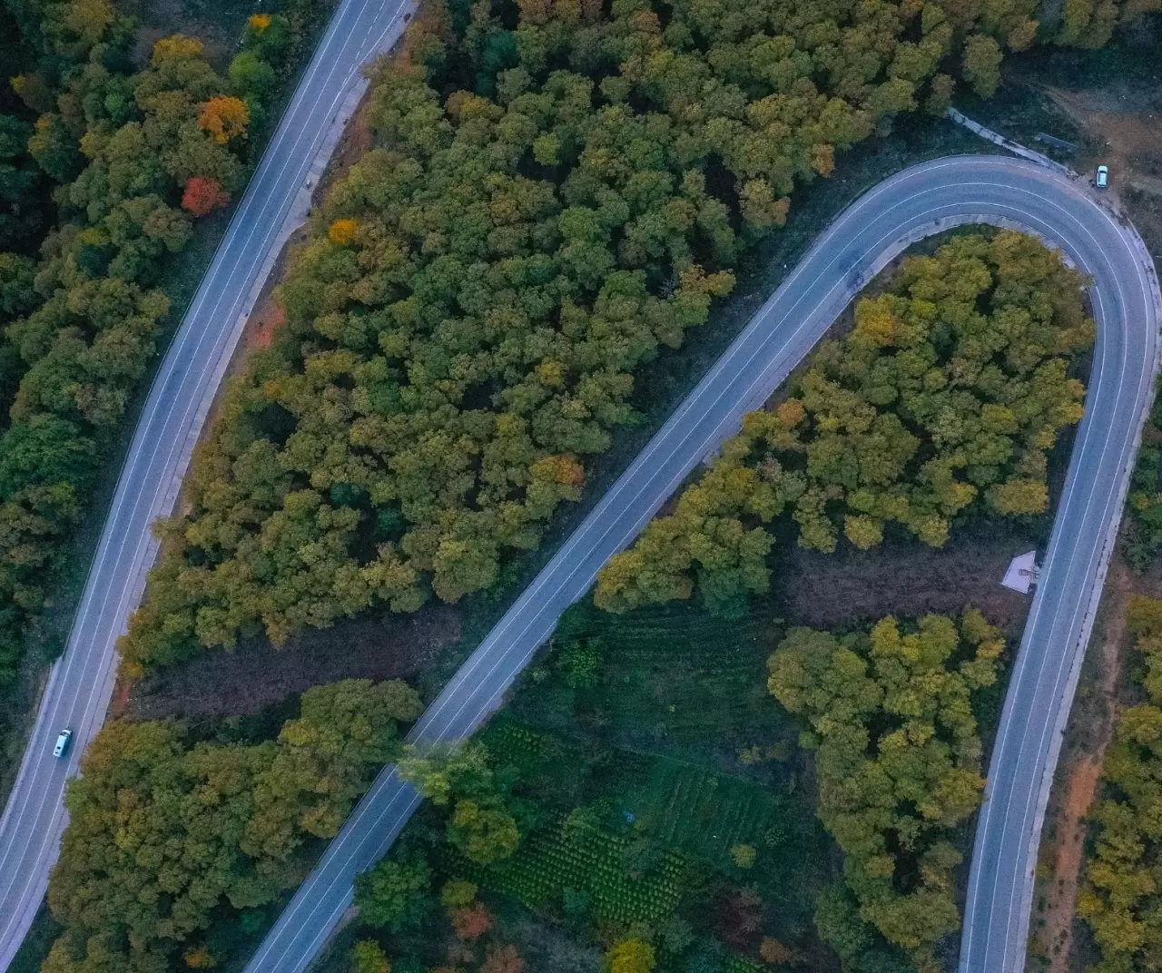 Uludağ'da sonbahar rengarenk görsel şölen sunuyor 5