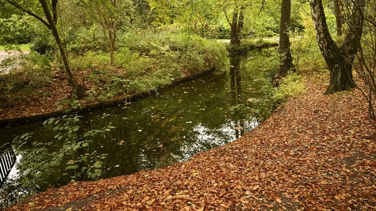 Berlin Tiergarten’da sonbahar masalı 8