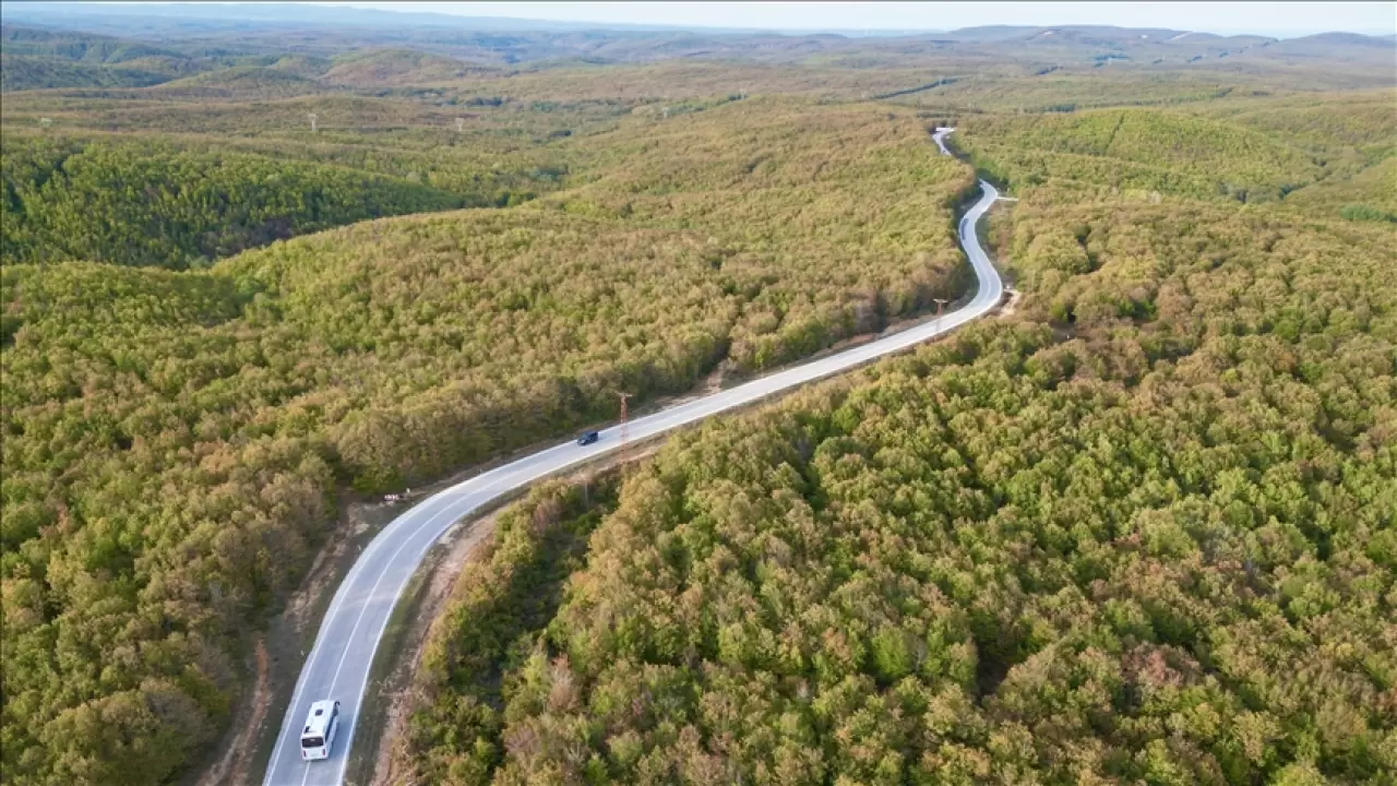 Tekirdağ'da ormanlar güz renklerine büründü 2