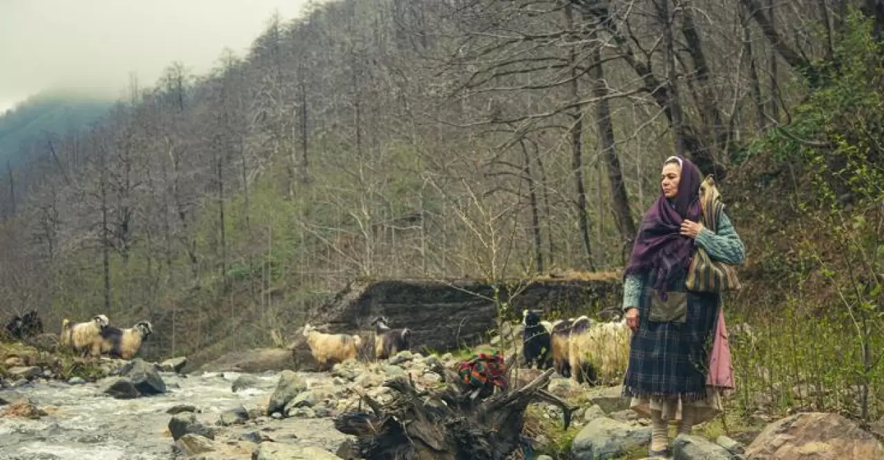 Sinema severler için bu hafta 11 yeni film vizyona giriyor! 3