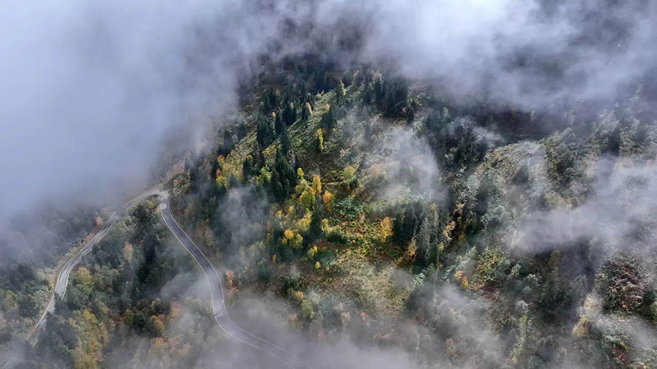 Trabzon'un yüksek tepeleri sonbaharın büyüleyici renklerine büründü 3