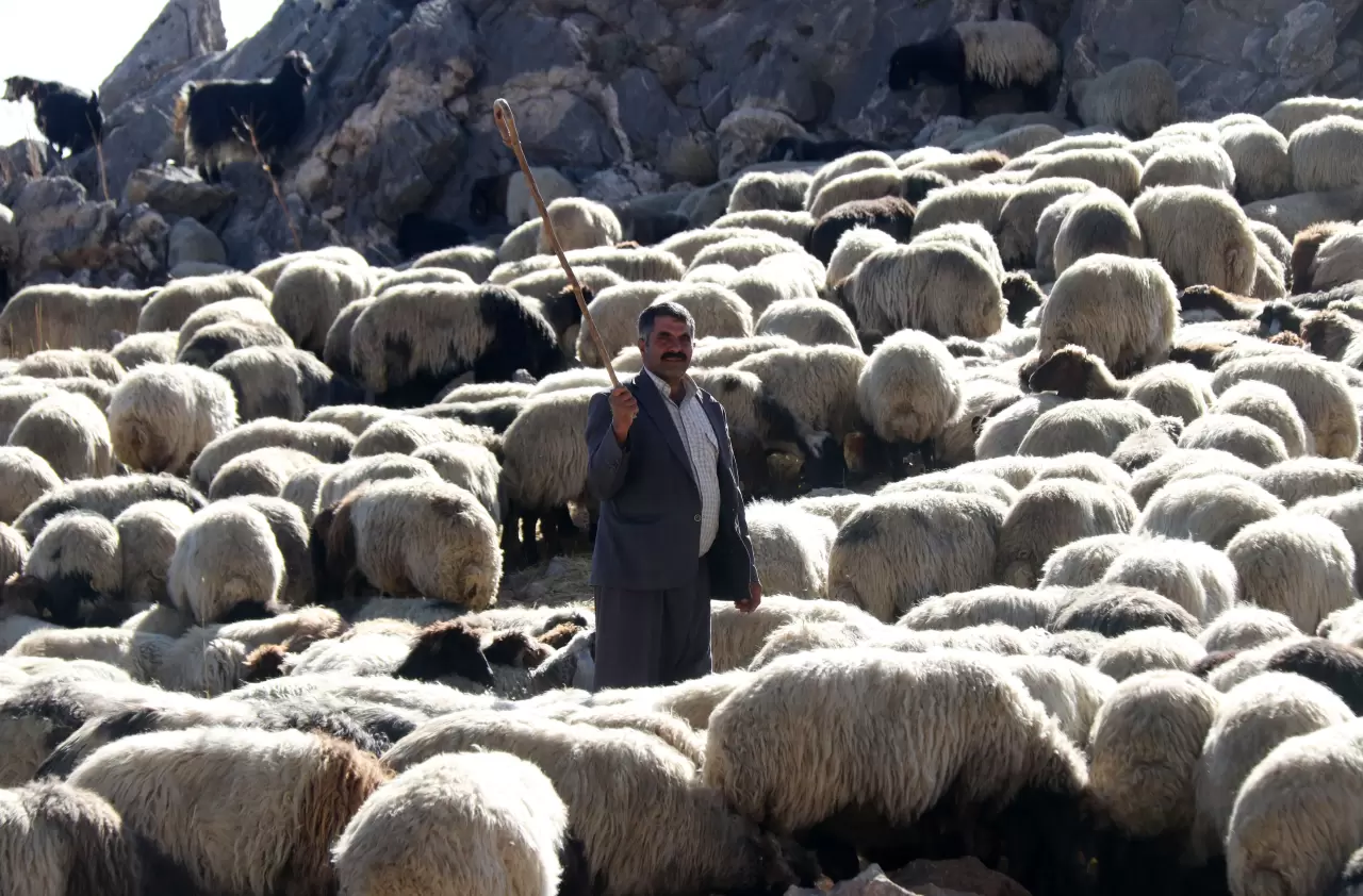 Bitlis'te göçerler havanın soğumasıyla dönüş yolculuğuna başladı 3