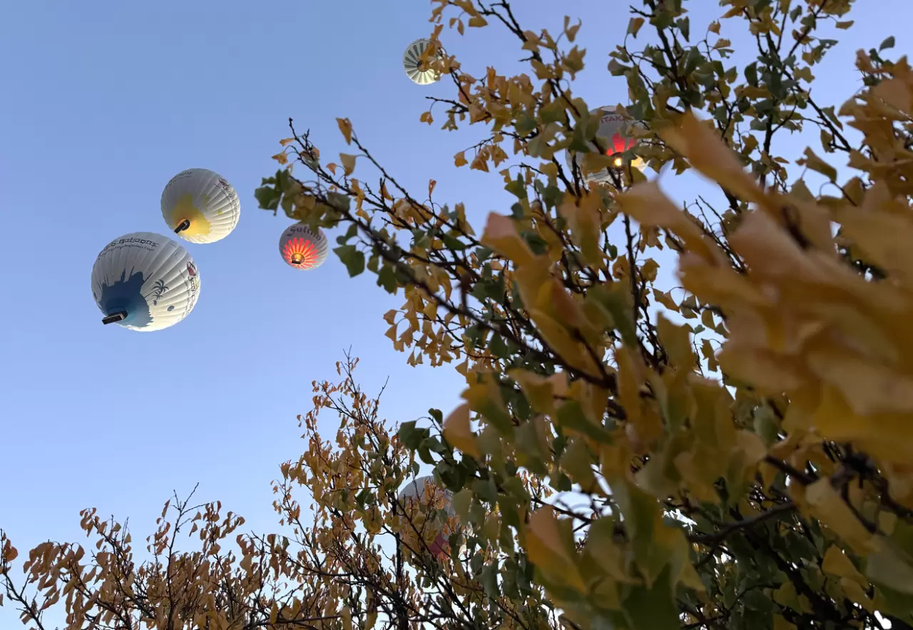 Sonbahar manzaraları Kapadokya'ya renk kattı 4
