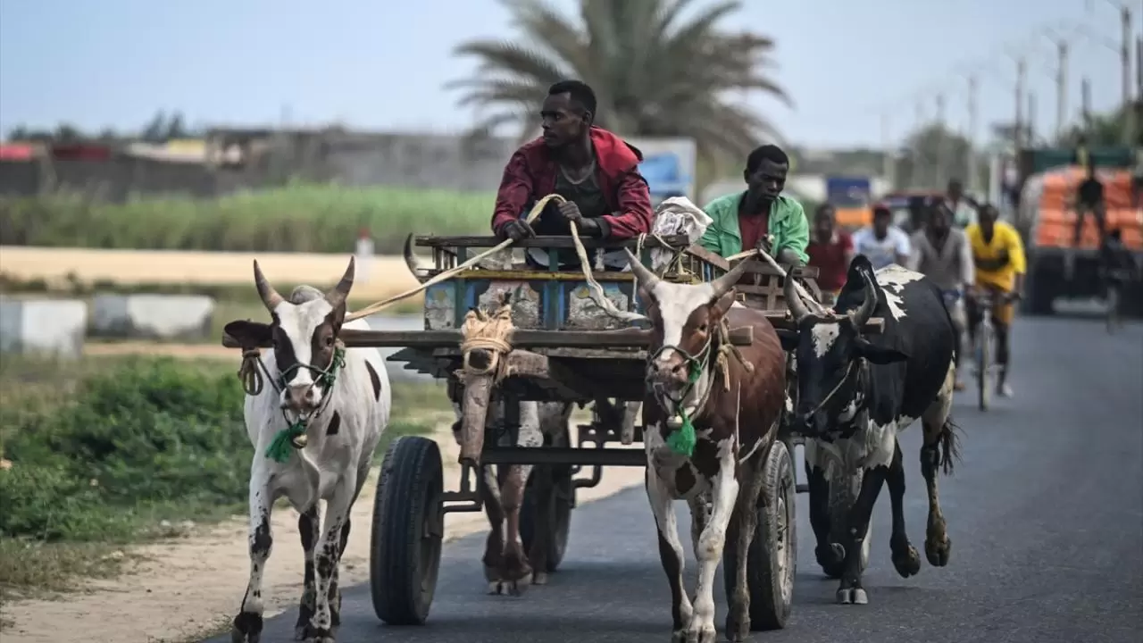 Madagaskar’ın lezzet limanı: Toliara’da deniz kokan bir yaşam 2