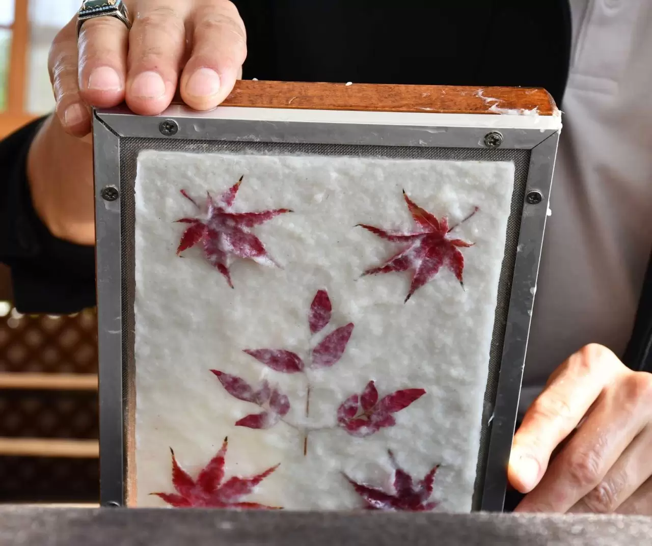 Düzce Üniversitesi'nden Özel Koleksiyon: Doç. Dr. Yusuf Parlak'ın El Yapımı Kağıtlarıyla Botanik Bahçenin Güzellikleri! 4