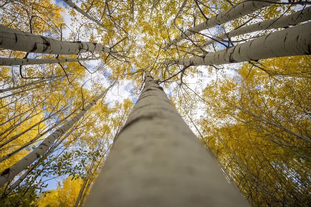 Tunceli’nin zirveleri sonbahar renklerine büründü 5