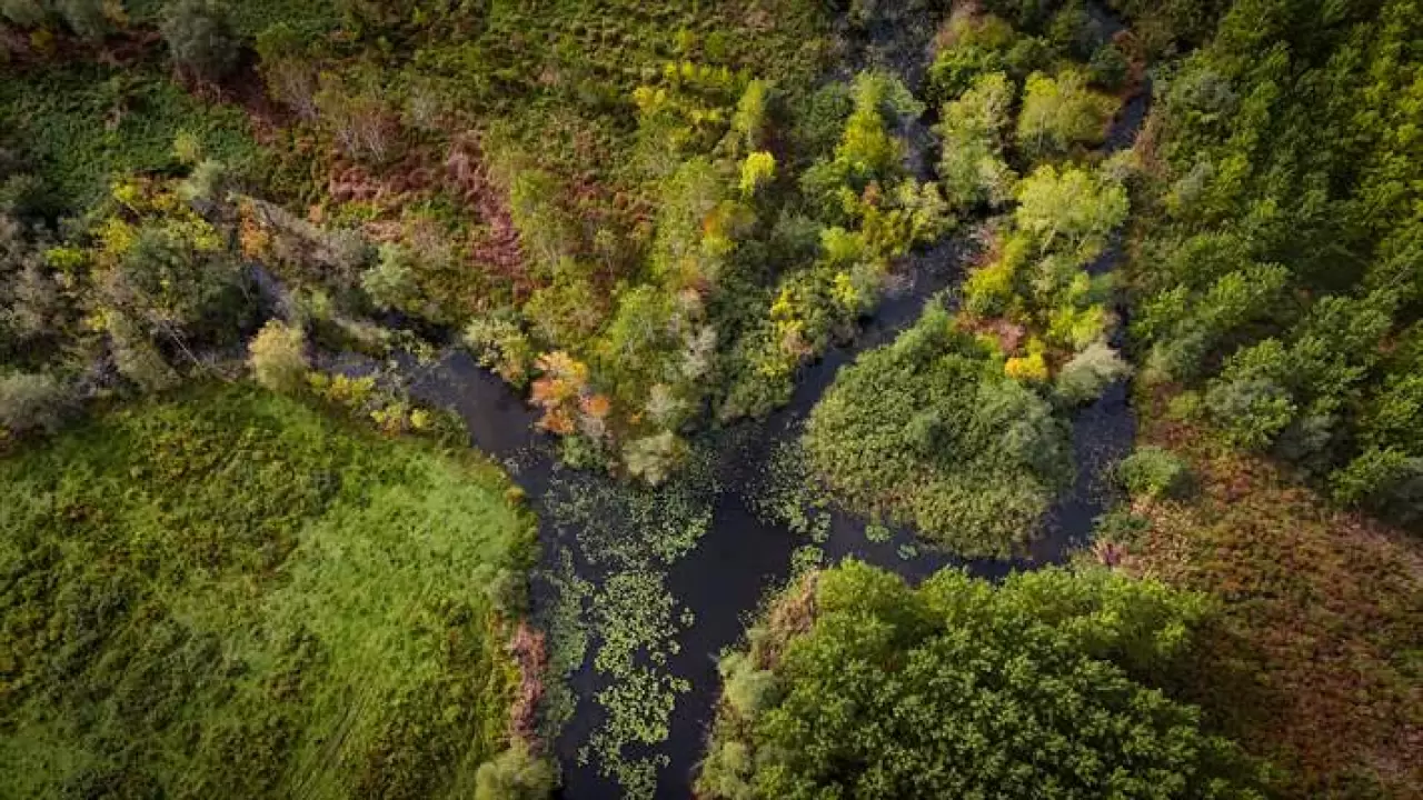 Acarlar Longozu ve Melen Havzası sonbahar renkleriyle büyülüyor! 1