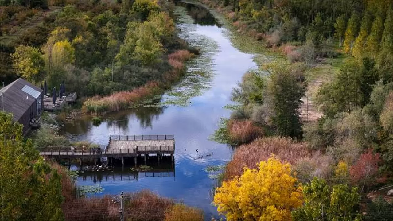 Acarlar Longozu ve Melen Havzası sonbahar renkleriyle büyülüyor! 4