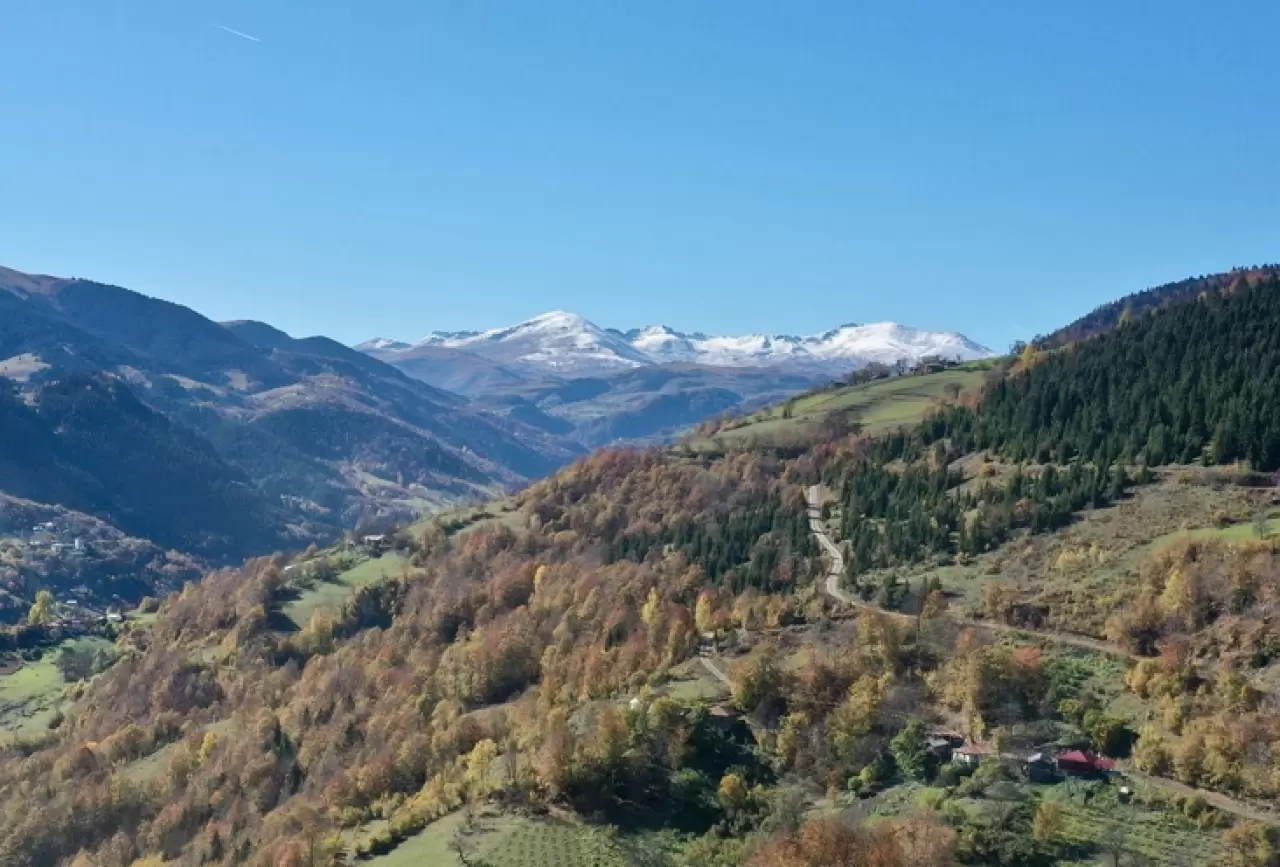 Dereli'de sonbahar renkleri: Doğanın büyüsü görsel şölene dönüşüyor 5