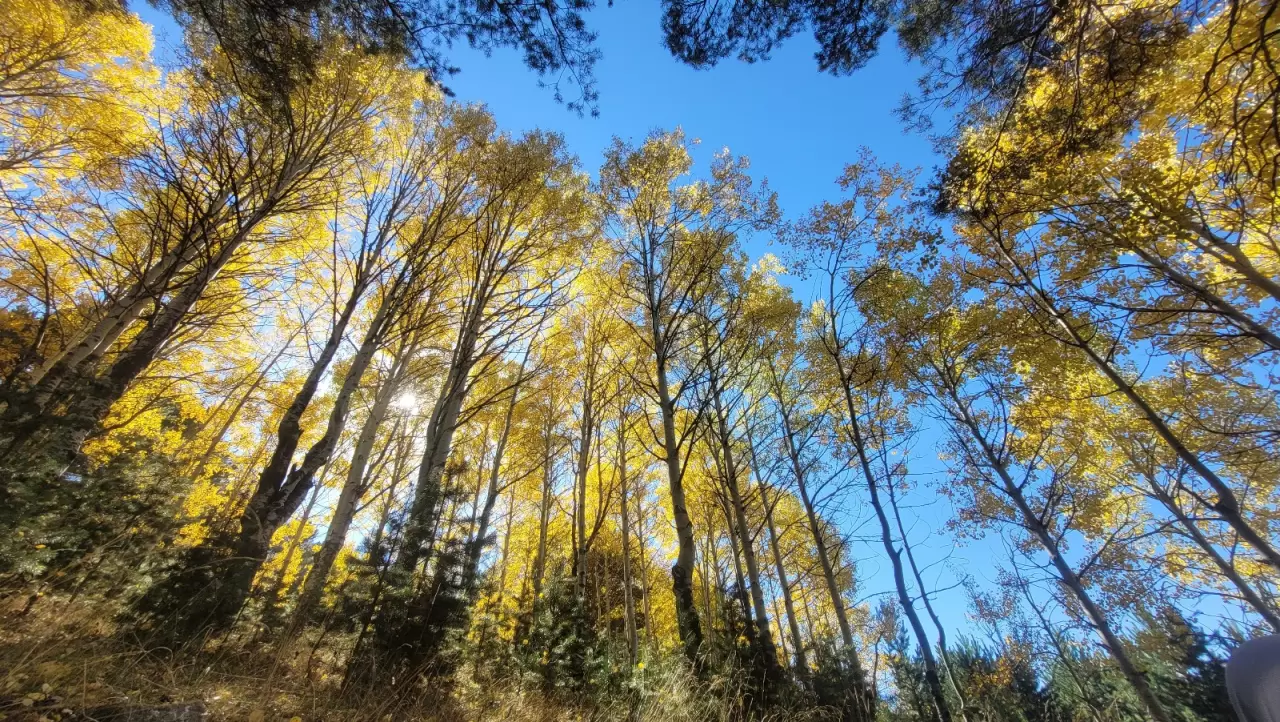 Keklik Vadisi sonbahar renklerine büründü 2
