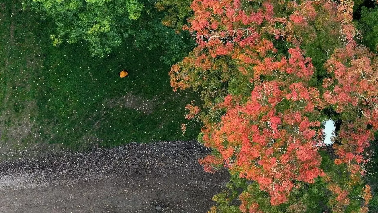 Efteni Gölü’nde sonbahar tüm güzelliğiyle sahnede 7