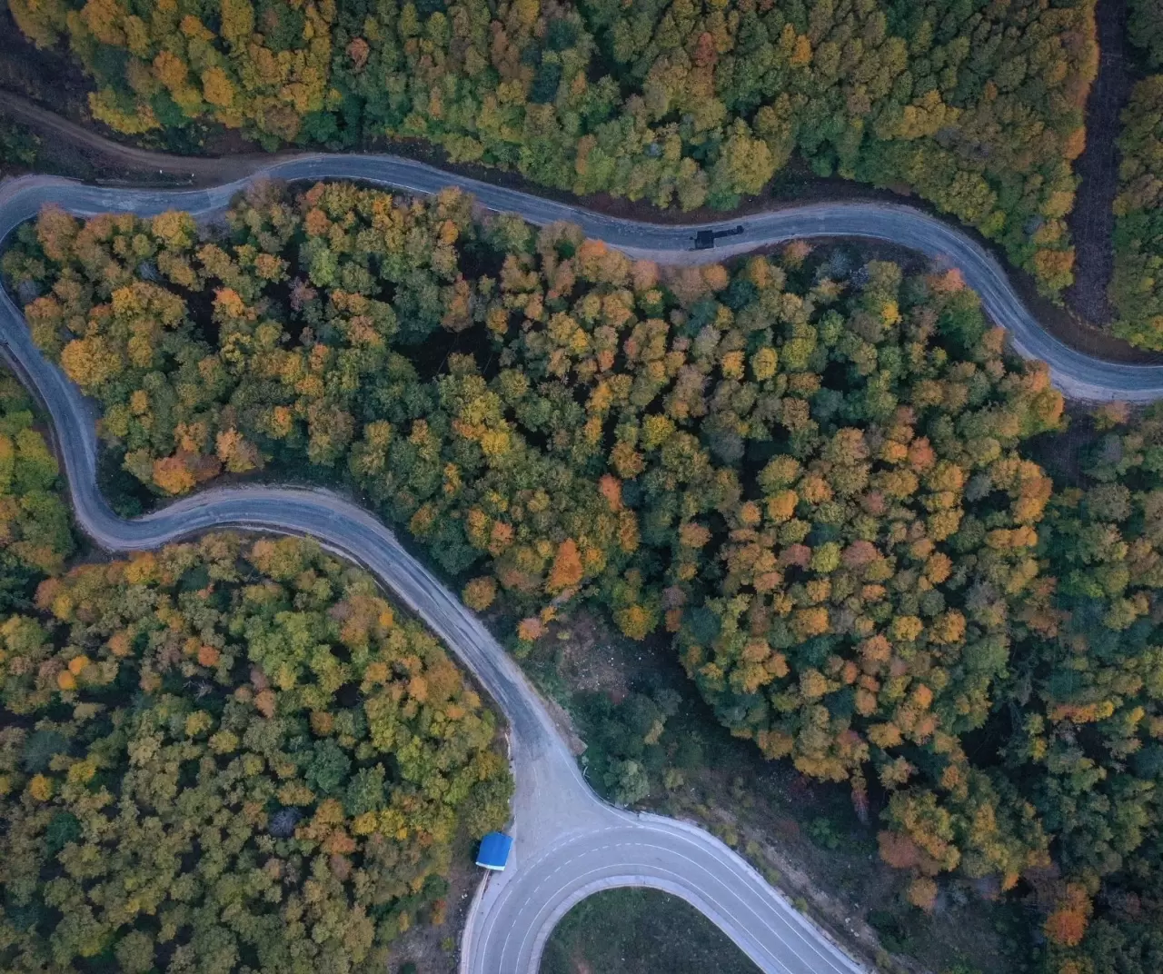 Uludağ'da sonbahar rengarenk görsel şölen sunuyor 1
