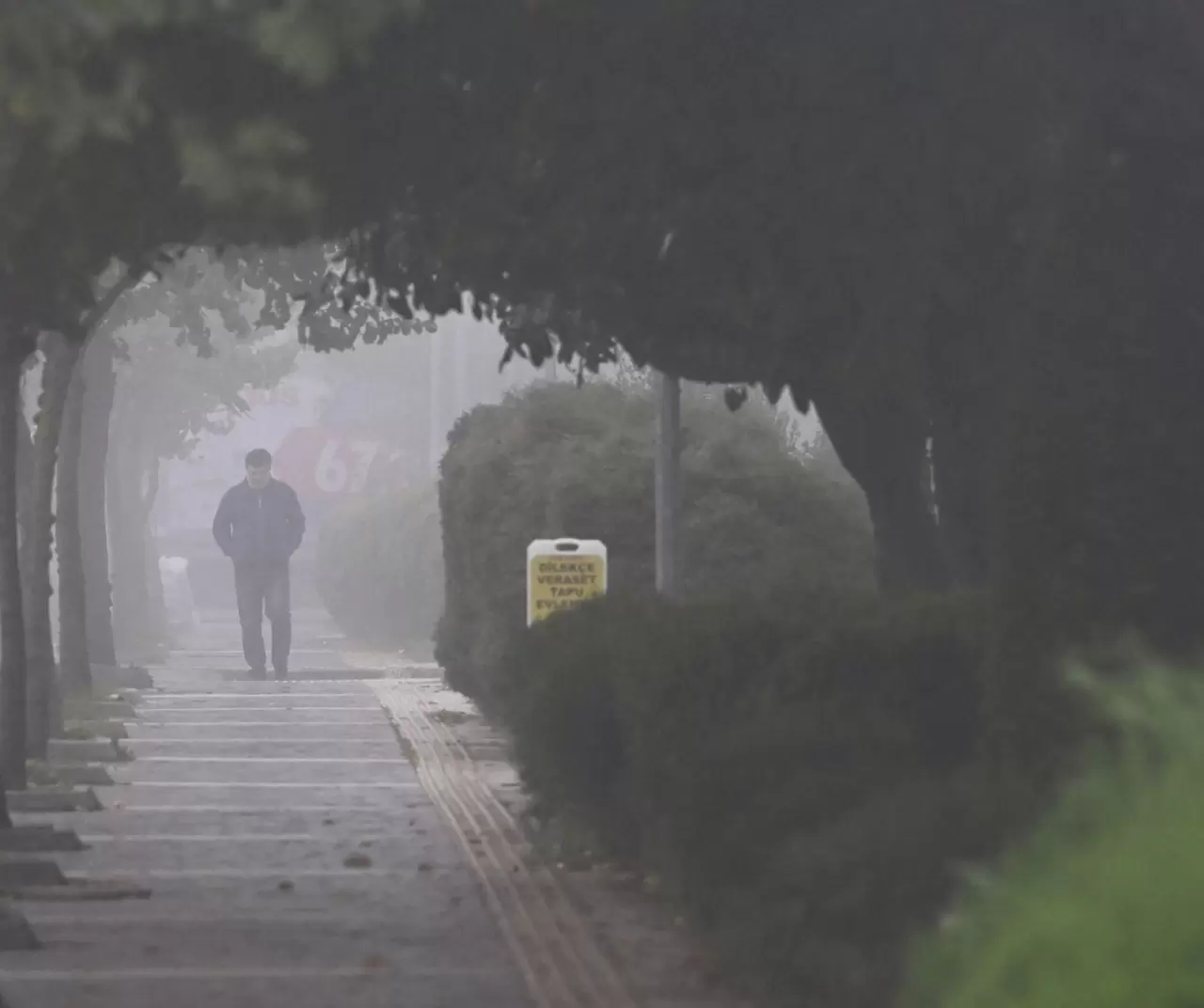 Düzce’de sabah sisleri hayatı zora soktu 7