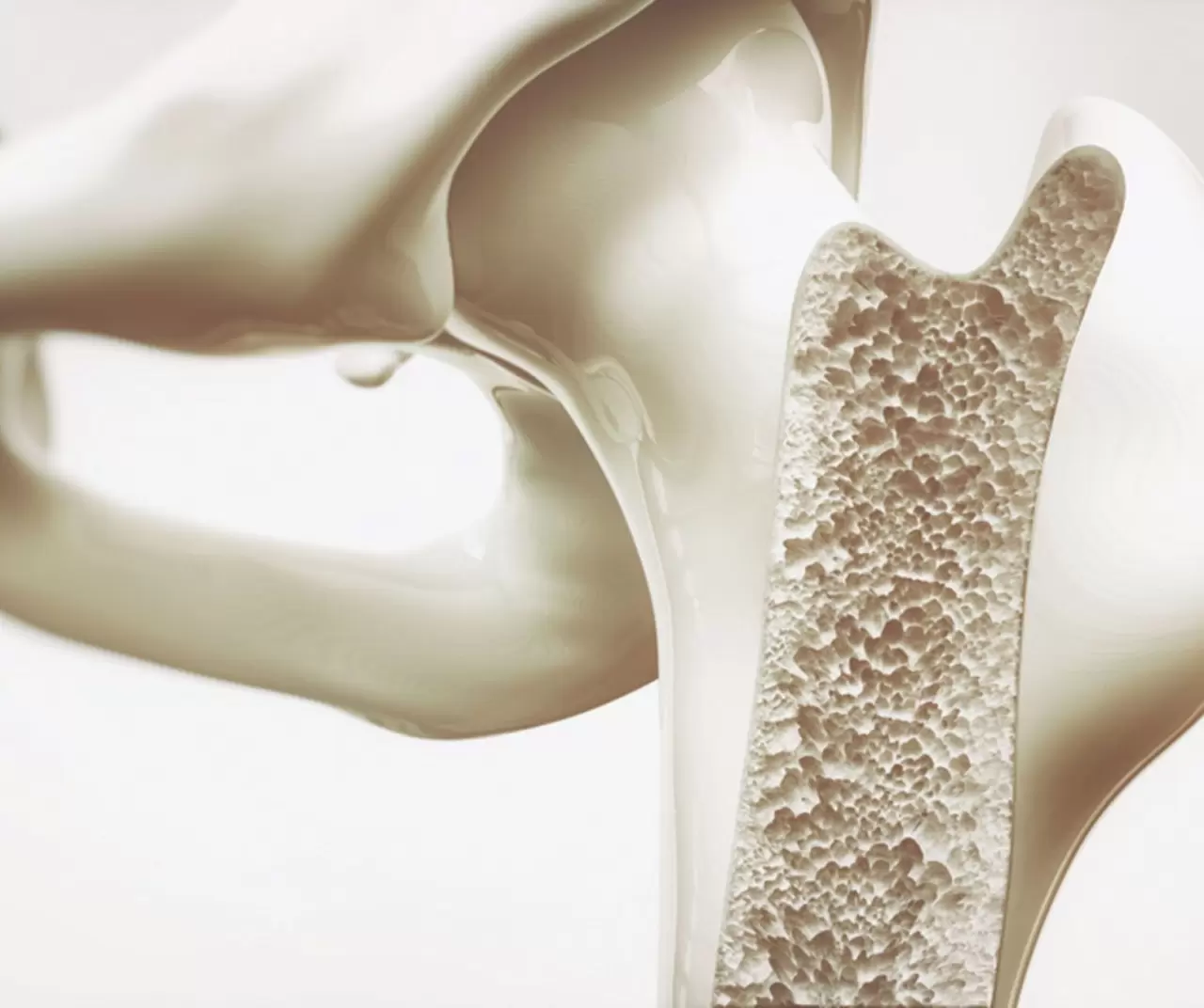 20 Ekim Dünya Osteoporoz Günü’nde kemik sağlığına dikkat çekildi 6