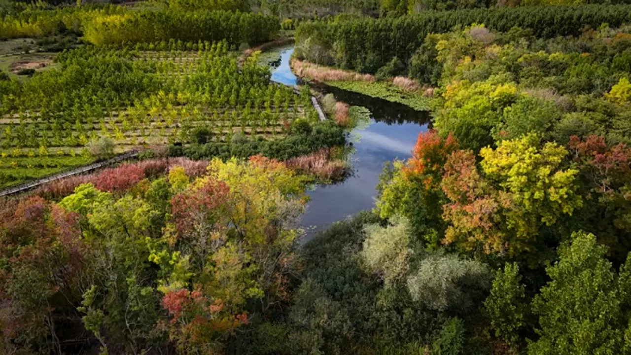 Acarlar Longozu ve Melen Havzası sonbahar renkleriyle büyülüyor! 2