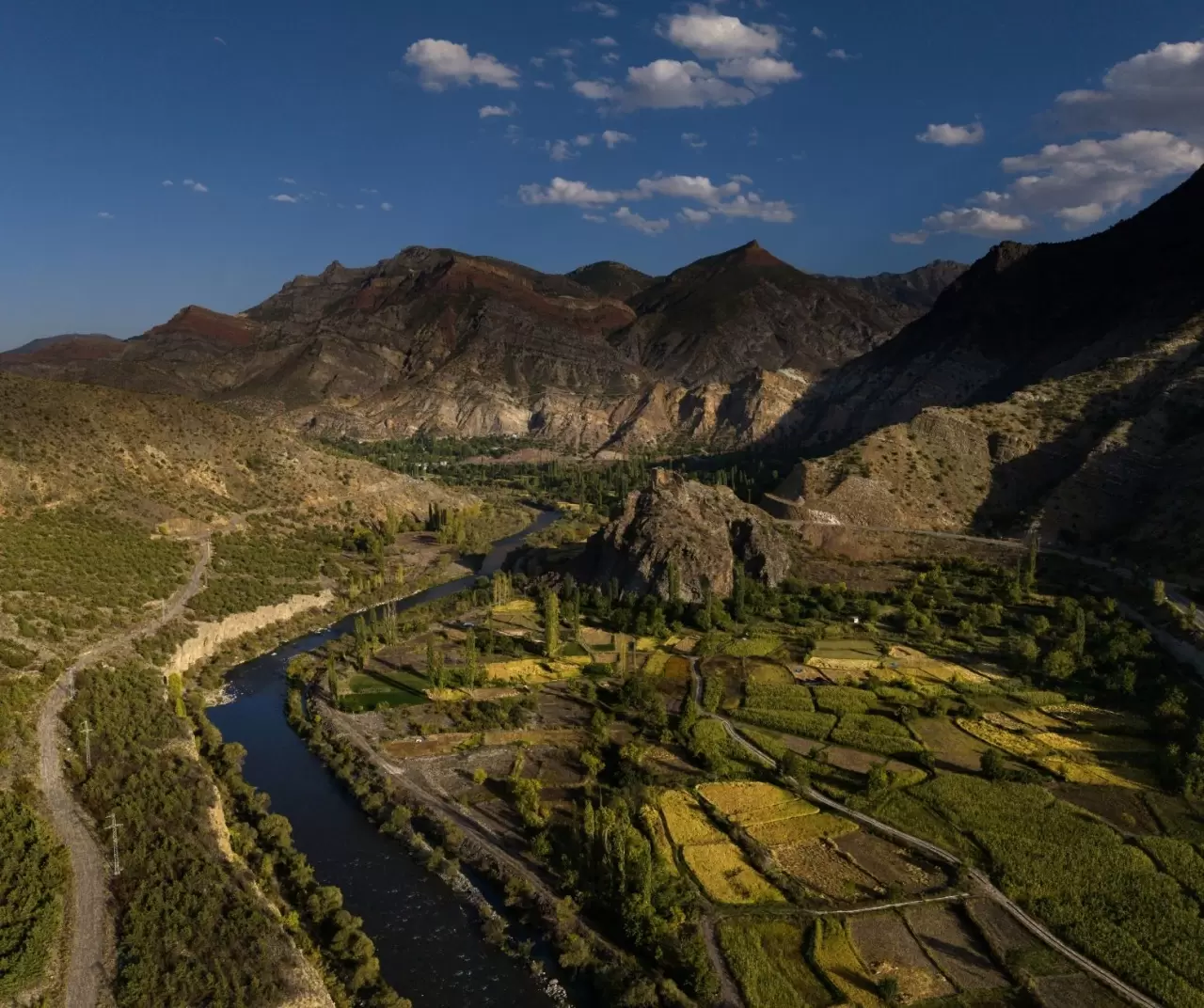 Artvin Yusufeli’nde çeltik hasadı başladı 1