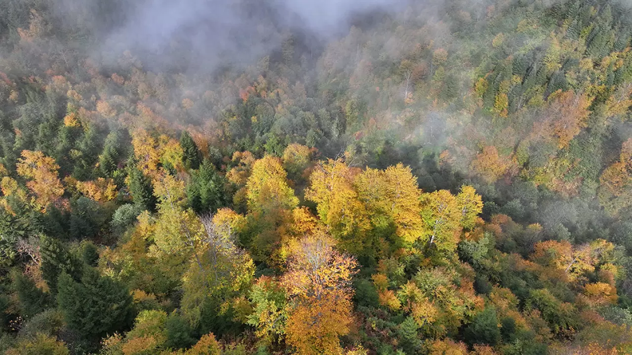 Trabzon'un yüksek tepeleri sonbaharın büyüleyici renklerine büründü 4