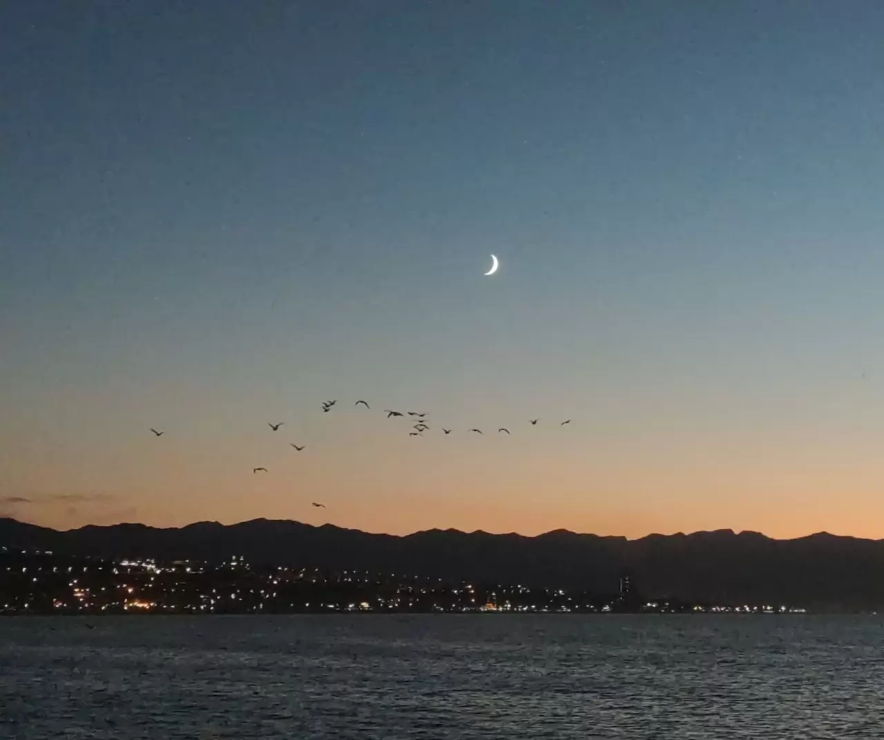 Van Gölü’nde kartpostallık manzara: Kuşlar gün batımıyla göç yolculuğuna başladı 2