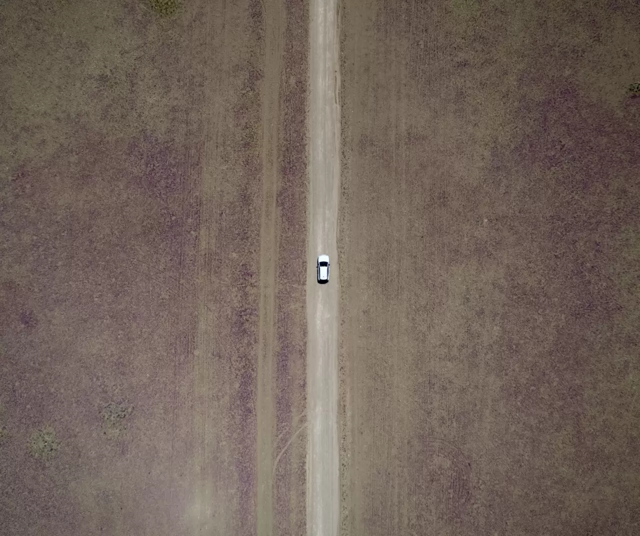 Atacama Çölü’nde görsel şölen: Kurak topraklar çiçeklerle kaplandı 10