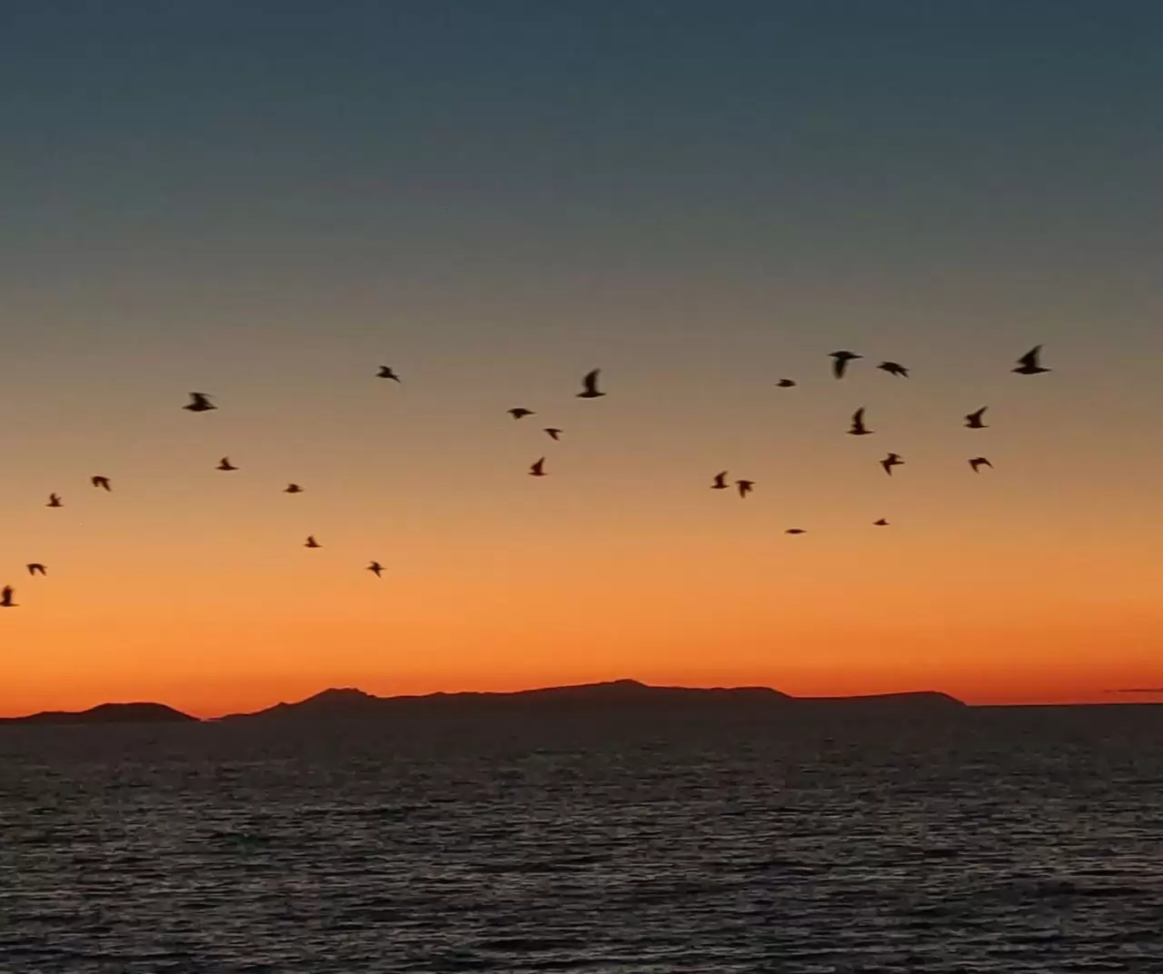 Van Gölü’nde kartpostallık manzara: Kuşlar gün batımıyla göç yolculuğuna başladı 4
