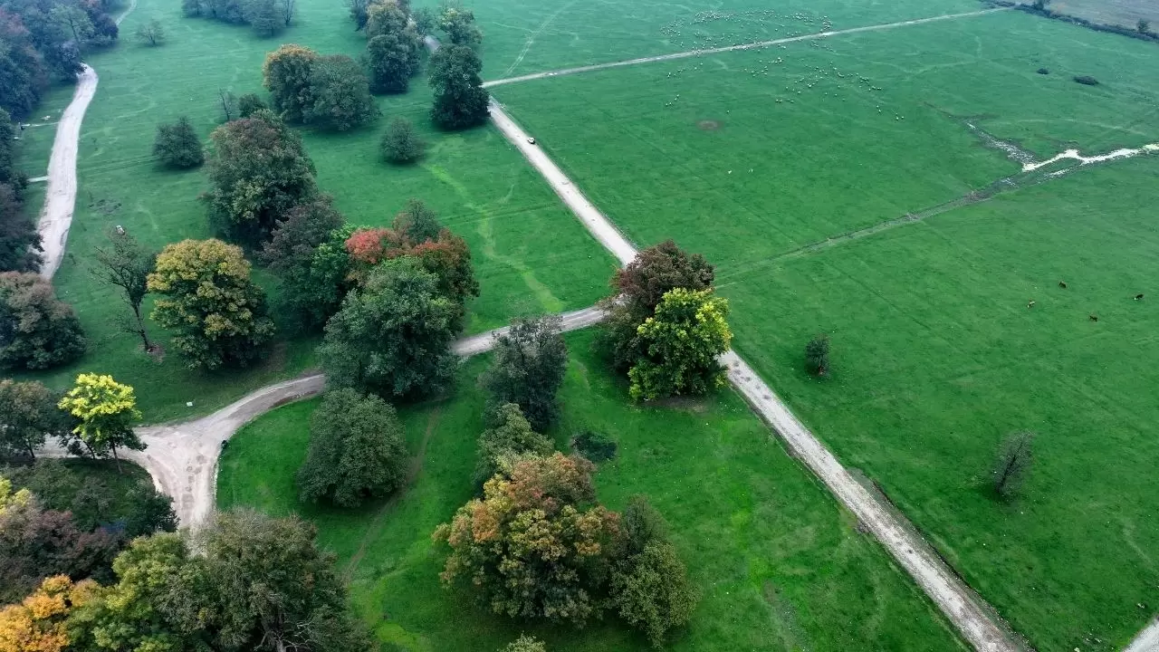 Efteni Gölü’nde sonbahar tüm güzelliğiyle sahnede 5