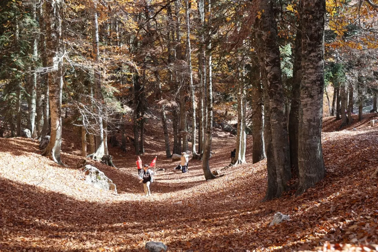 Adana'da sonbahar güzelliği: Adeta doğa sanata dönüştü 4