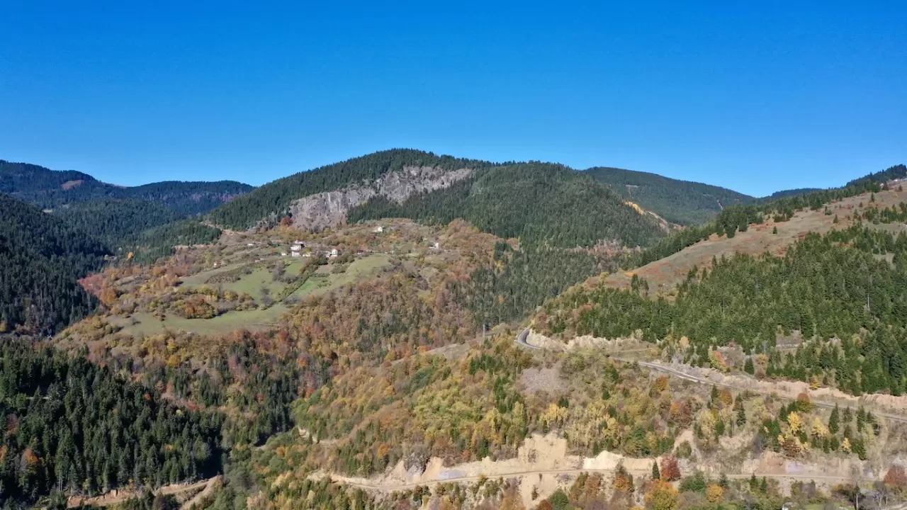 Dereli'de sonbahar renkleri: Doğanın büyüsü görsel şölene dönüşüyor 6