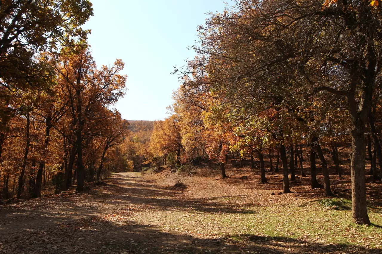Afyonkarahisar'da doğa görsel şölen oluşturdu 1