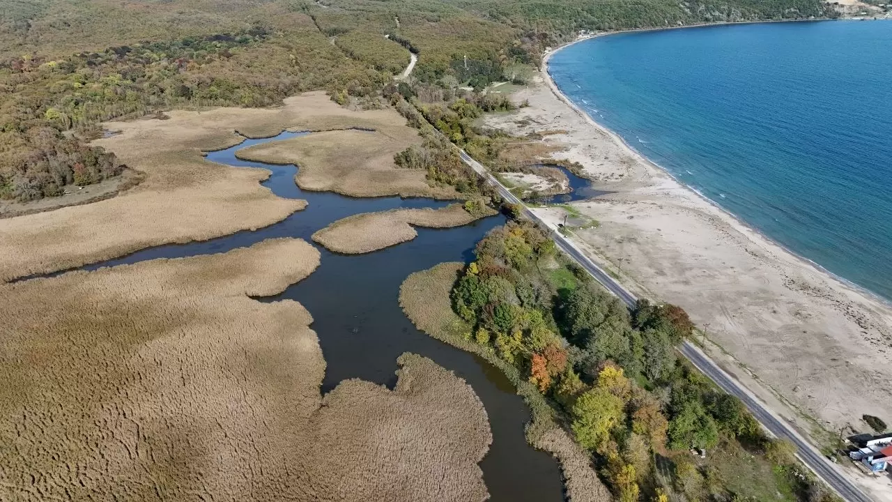Kırklareli’nin Longoz ve Istranca ormanlarında sonbahar büyüsü 9