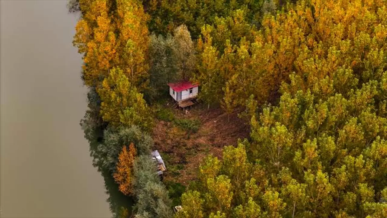 Acarlar Longozu ve Melen Havzası sonbahar renkleriyle büyülüyor! 5