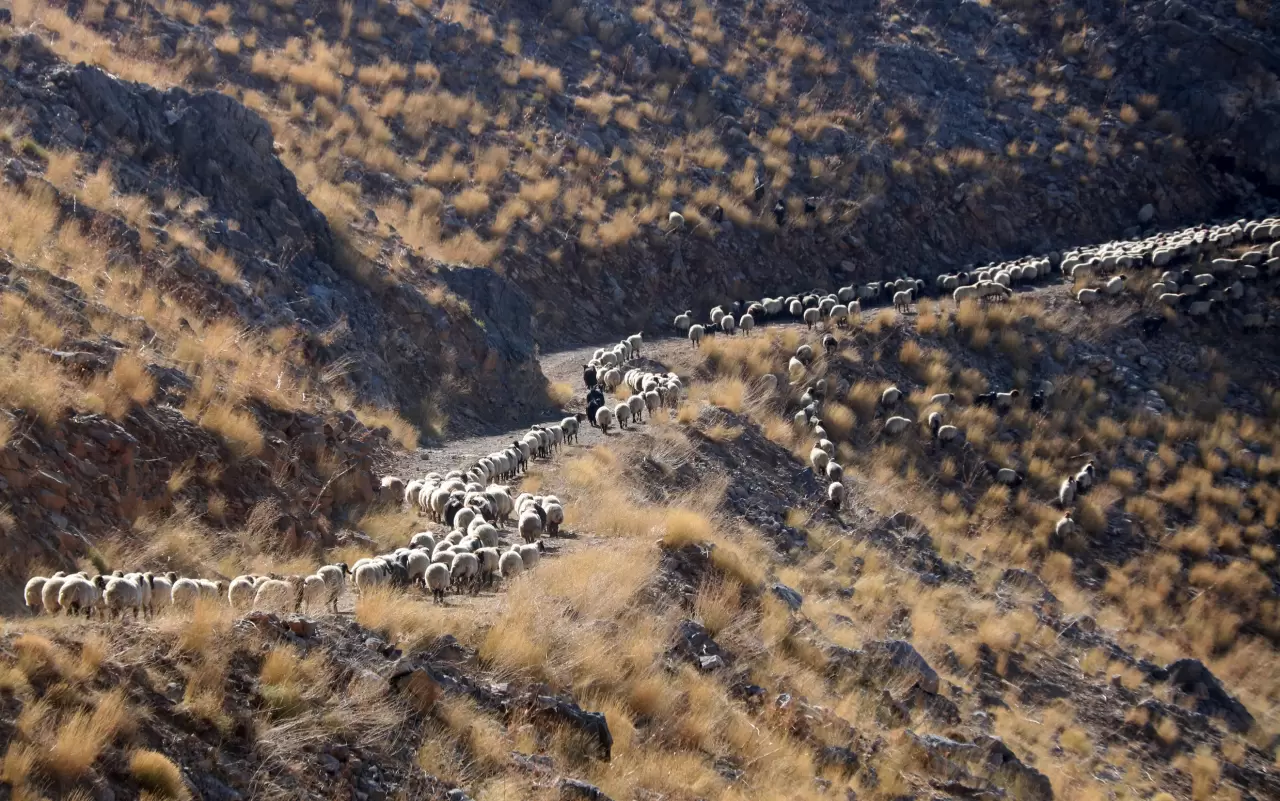 Bitlis'te göçerler havanın soğumasıyla dönüş yolculuğuna başladı 1