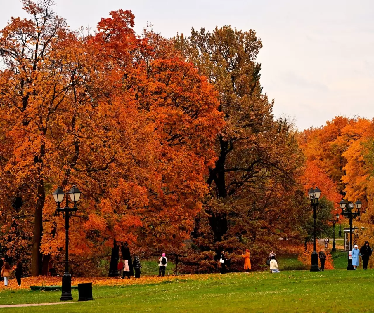 Tsaritsıno Sarayı’nda altın sonbahar büyüsü 6