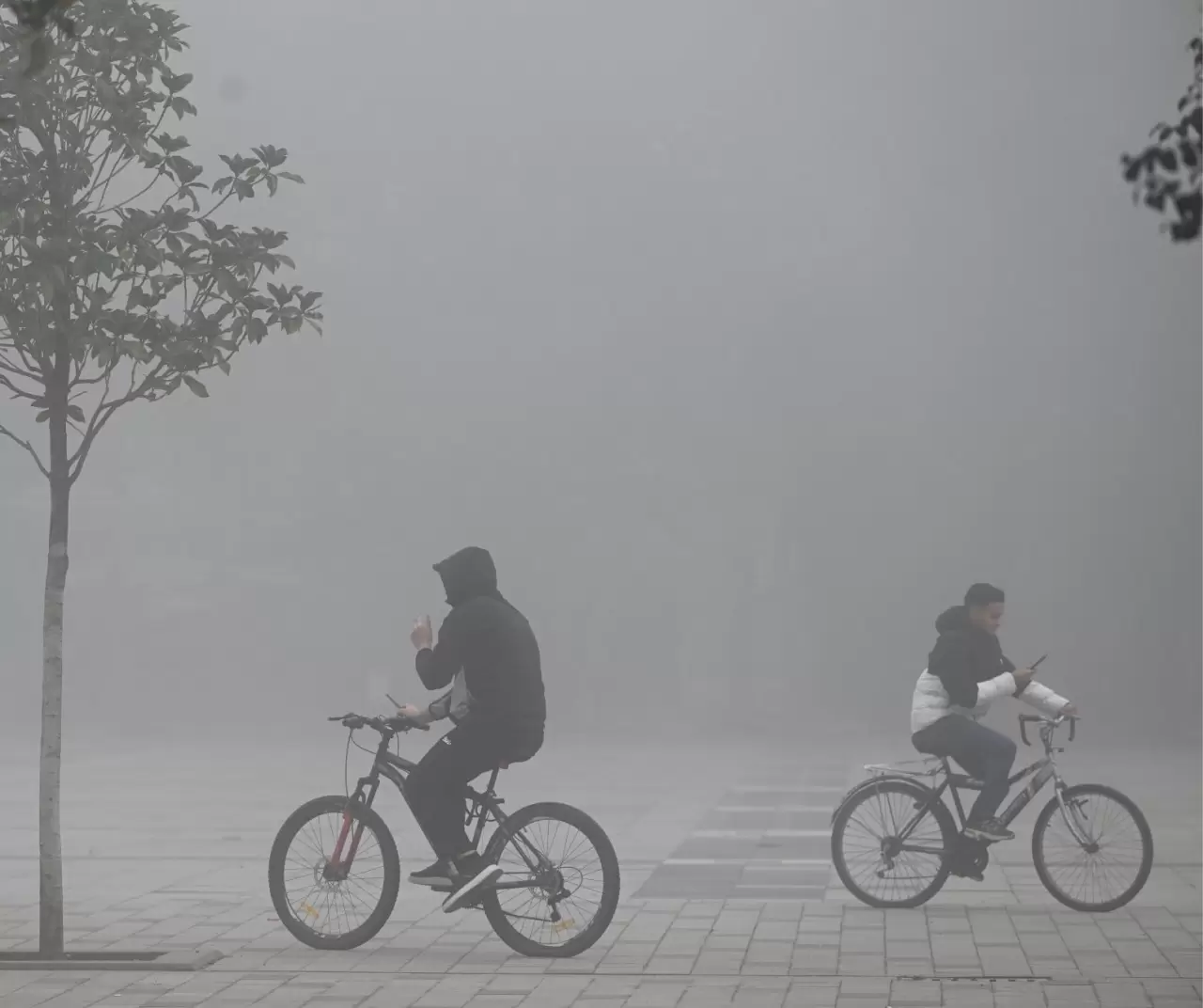Düzce’de sabah sisleri hayatı zora soktu 3