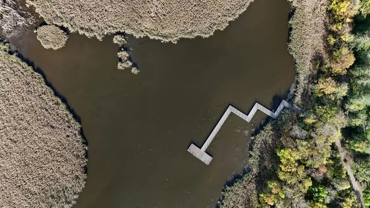 Kırklareli’nin Longoz ve Istranca ormanlarında sonbahar büyüsü 6