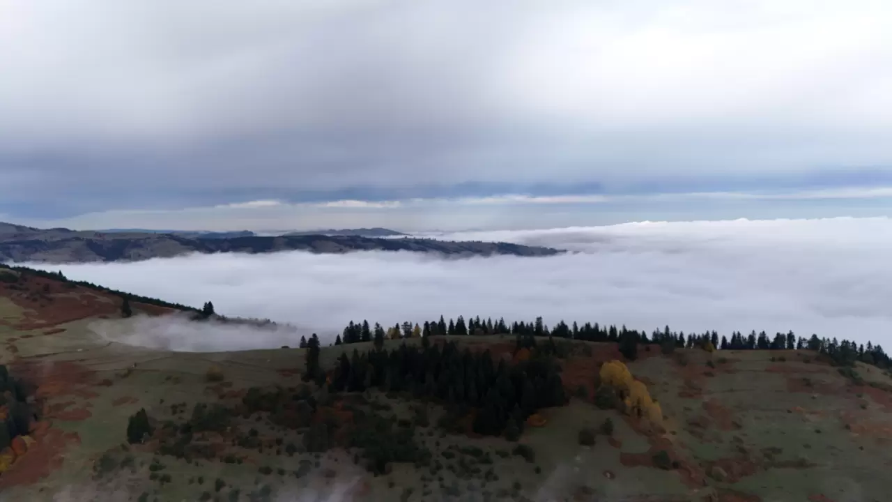 Samsun'da 1650 rakımlı Dürtmen Dağı'ndaki "sis denizi" dronla görüntülendi 5