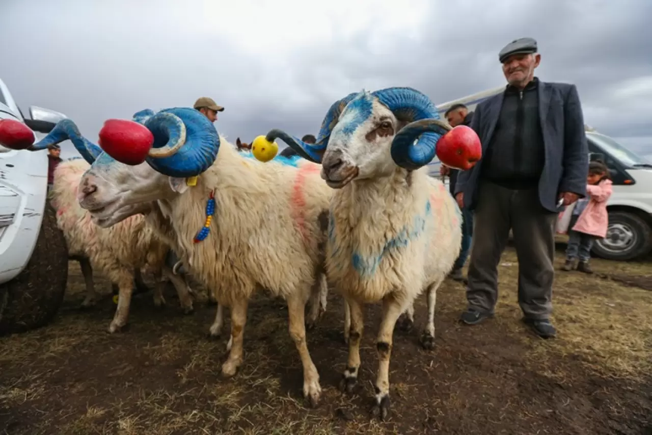 Kars’ta “çoban bayramı” renkli görüntülere sahne oldu 4