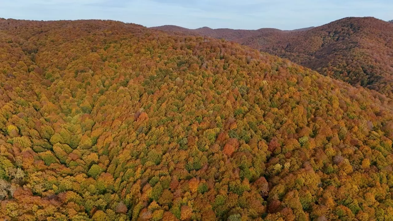 Kırklareli’nin Longoz ve Istranca ormanlarında sonbahar büyüsü 2