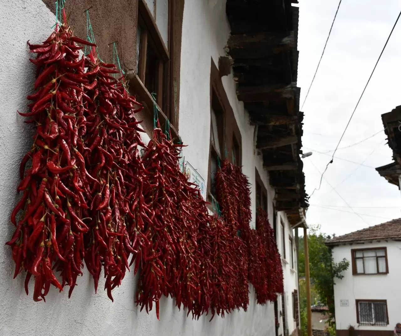 Kuraklık Çukurören biberini vurdu: Üretim alanı yarı yarıya azaldı 8